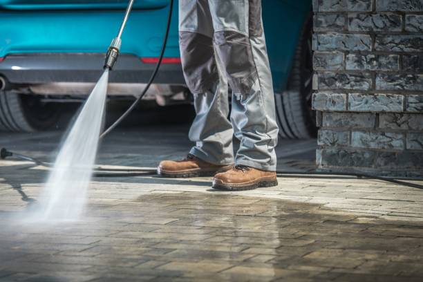 Best Pre-Holiday Cleaning  in Fair Plain, MI