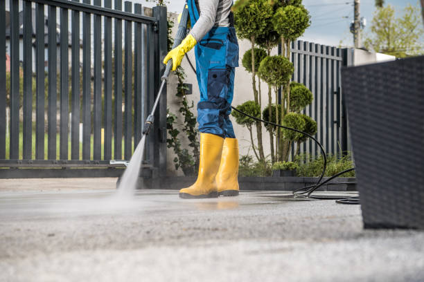 Best Building Exterior Washing  in Fair Plain, MI